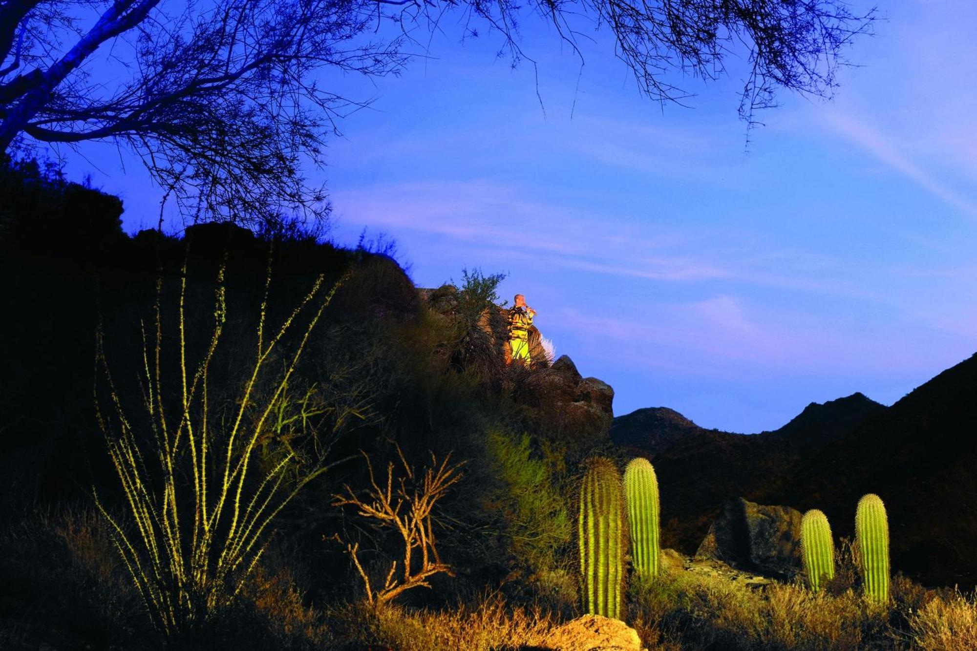 Hotel The Ritz-Carlton, Dove Mountain Marana Exterior foto